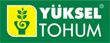 Yüksel-tohum